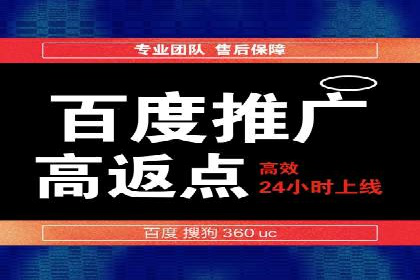 百度竞价广告运营全解析：成功案例揭秘