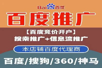 百度竞价入门必看：实操技巧与成功案例